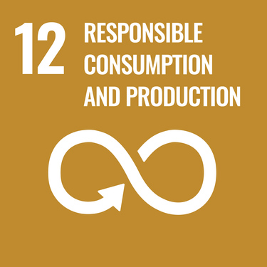 Goal 12 - Responsible consumption and production